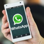 WhatsApp Contatos