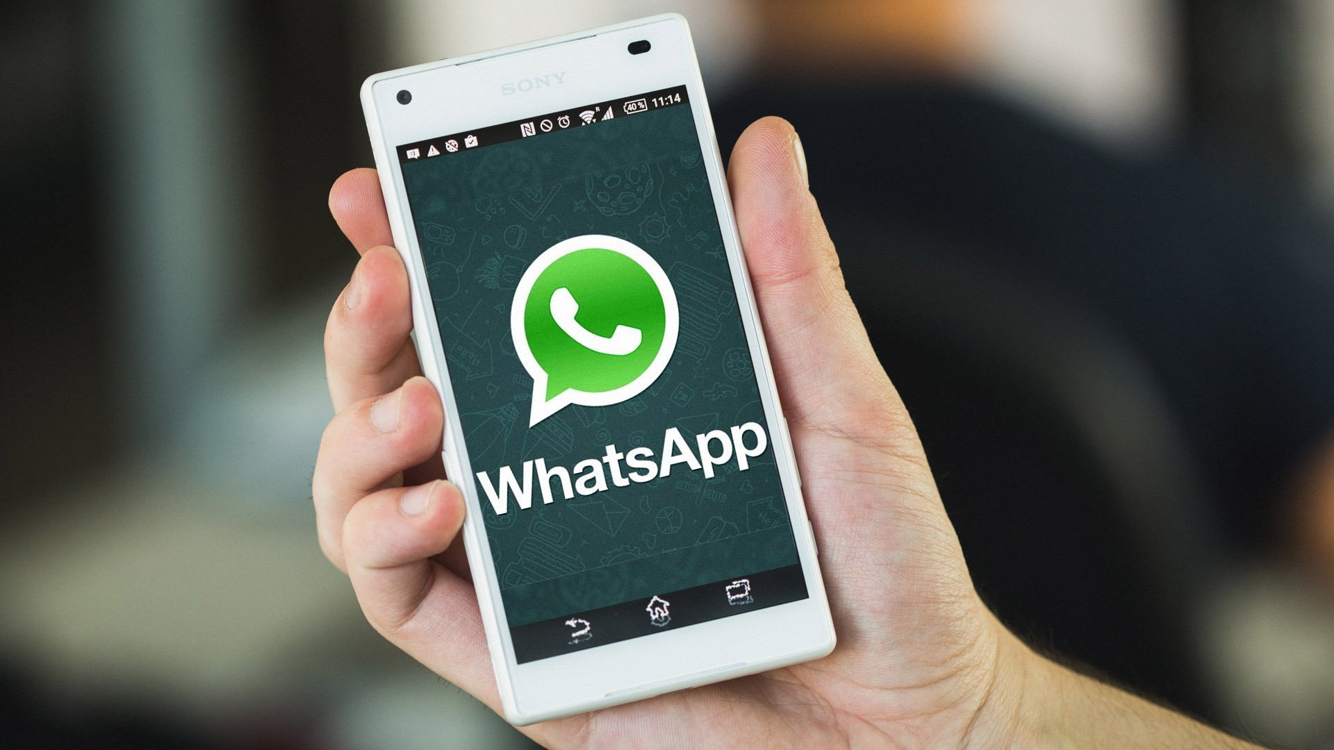 WhatsApp Contatos